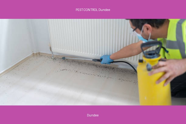 PEST CONTROL Dundee